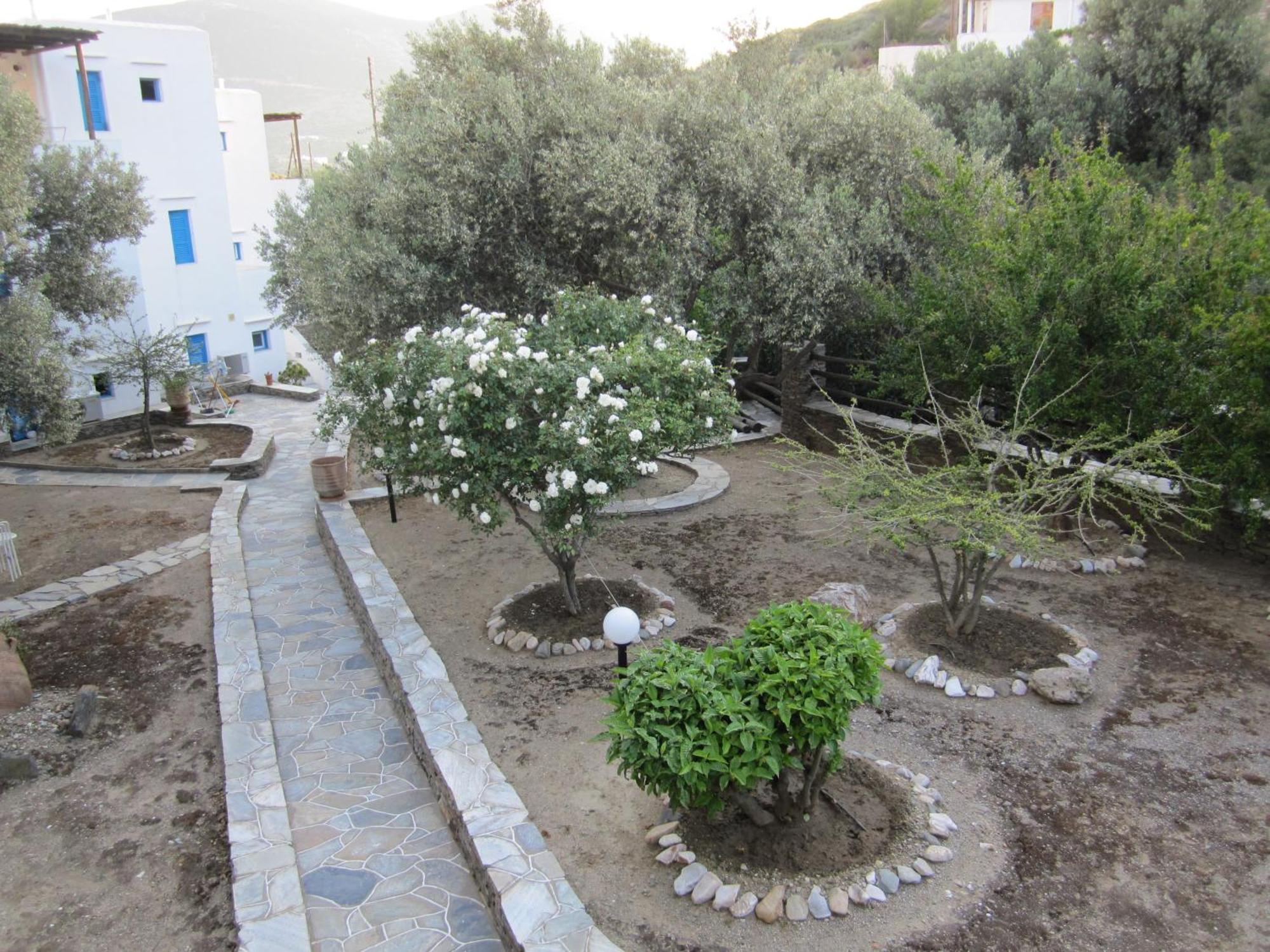 Platis Gialos  Alexandros Hotel מראה חיצוני תמונה