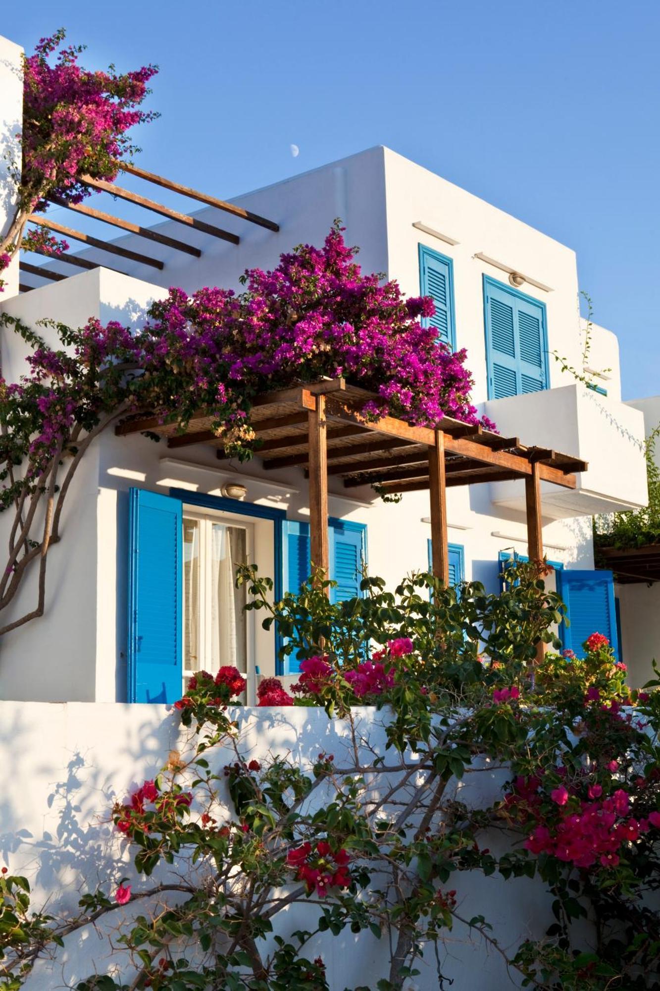 Platis Gialos  Alexandros Hotel מראה חיצוני תמונה